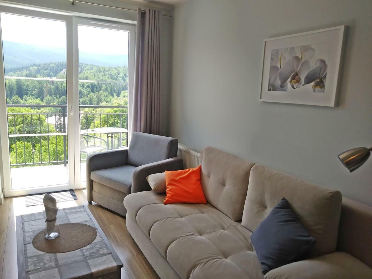Apartamenty Amika 스클라르스카포렘바 외부 사진
